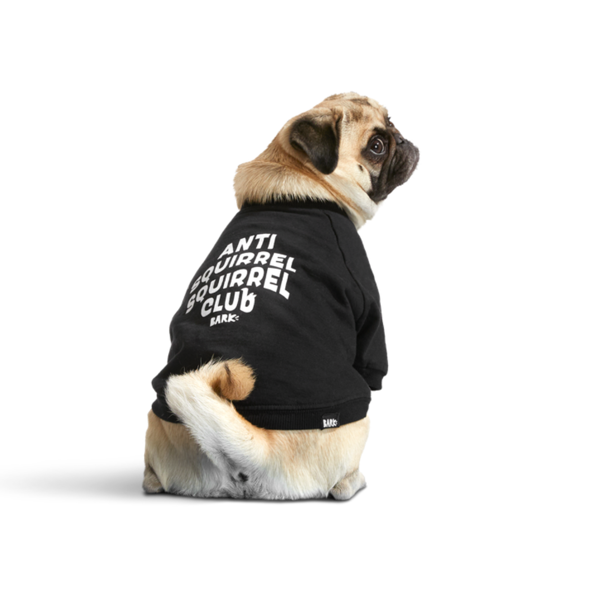Anti-Squirrel Squirrel Club Dog Sweatshirt