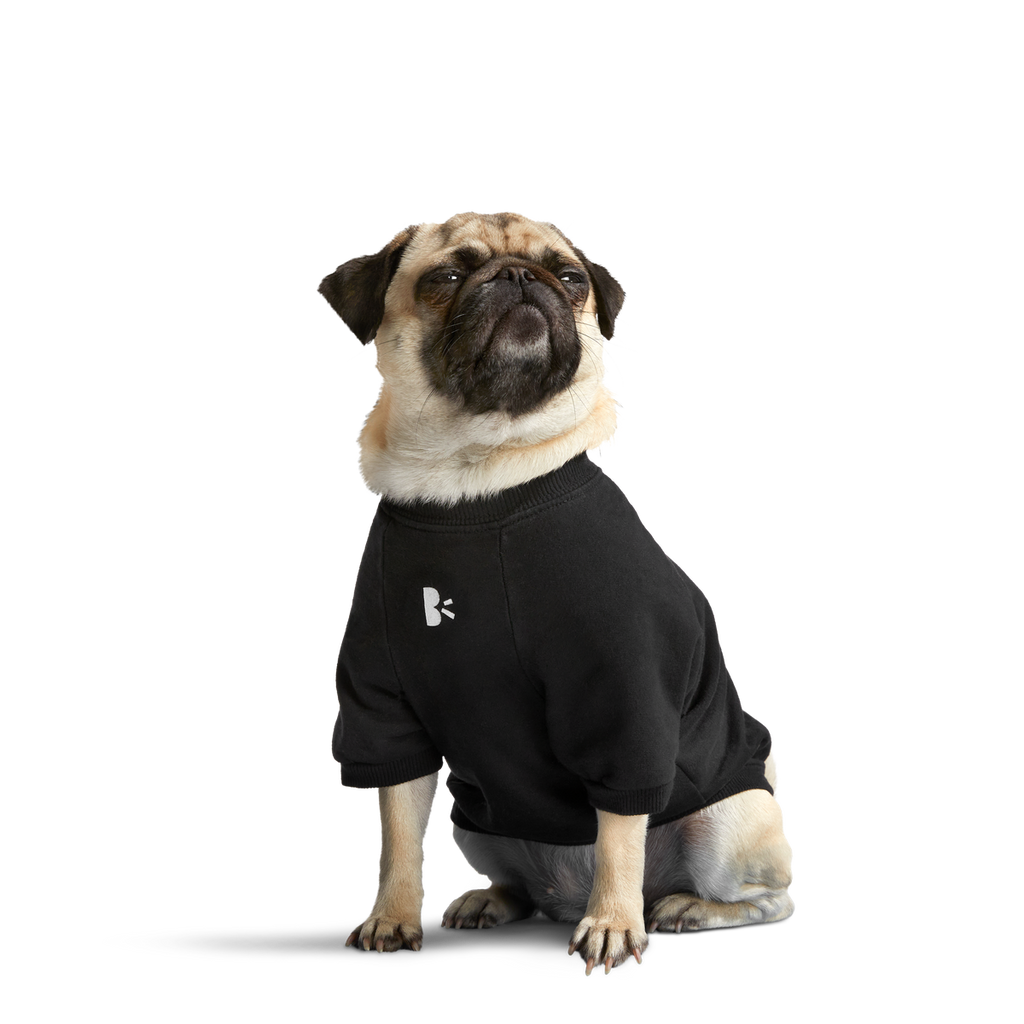 Anti-Squirrel Squirrel Club Dog Sweatshirt