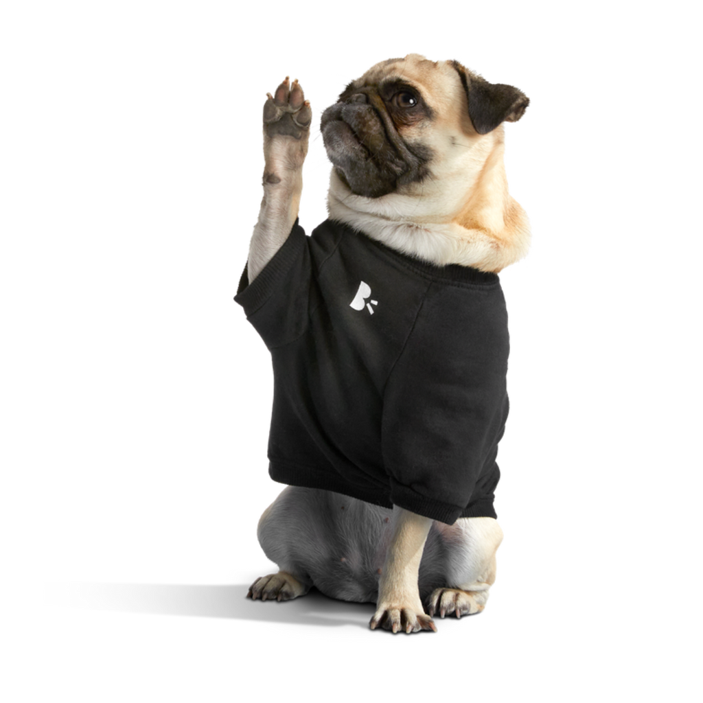 Anti-Squirrel Squirrel Club Dog Sweatshirt