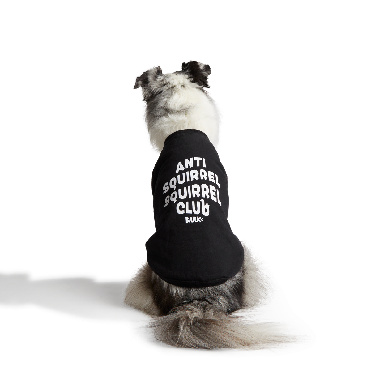 Anti-Squirrel Squirrel Club Dog Sweatshirt