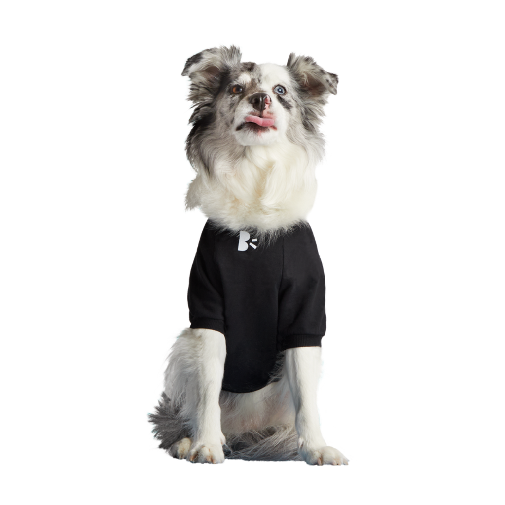 Anti-Squirrel Squirrel Club Dog Sweatshirt