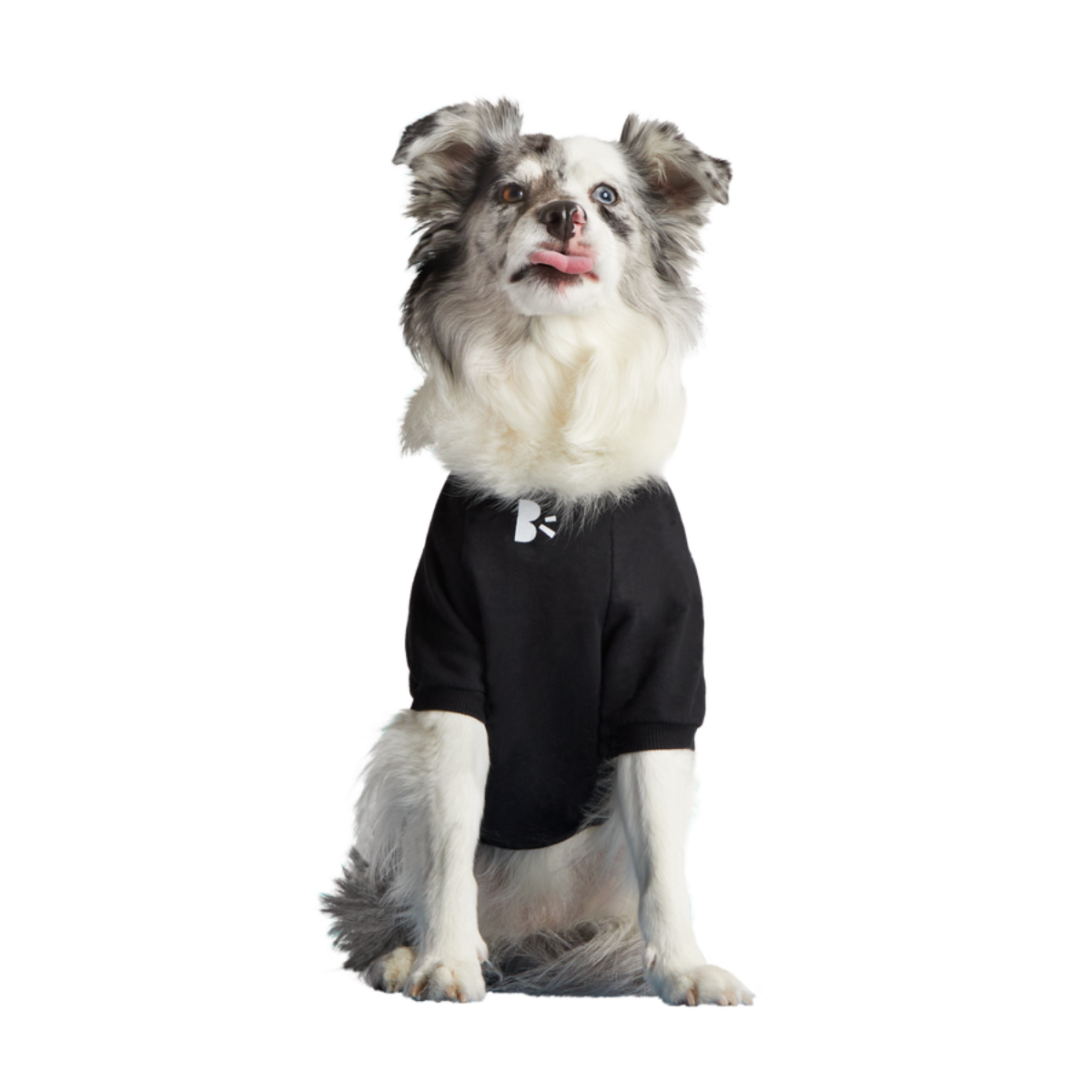 Anti-Squirrel Squirrel Club Dog Sweatshirt