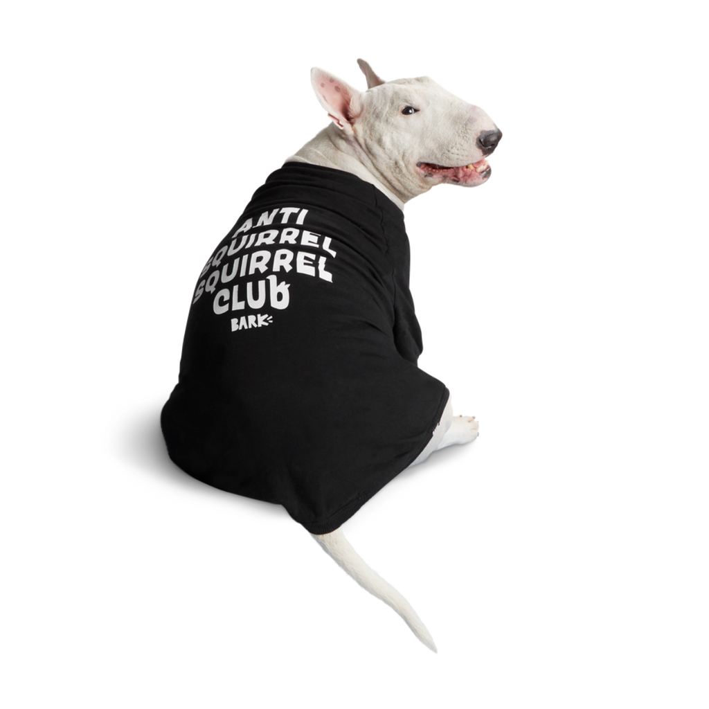 Anti-Squirrel Squirrel Club Dog Sweatshirt