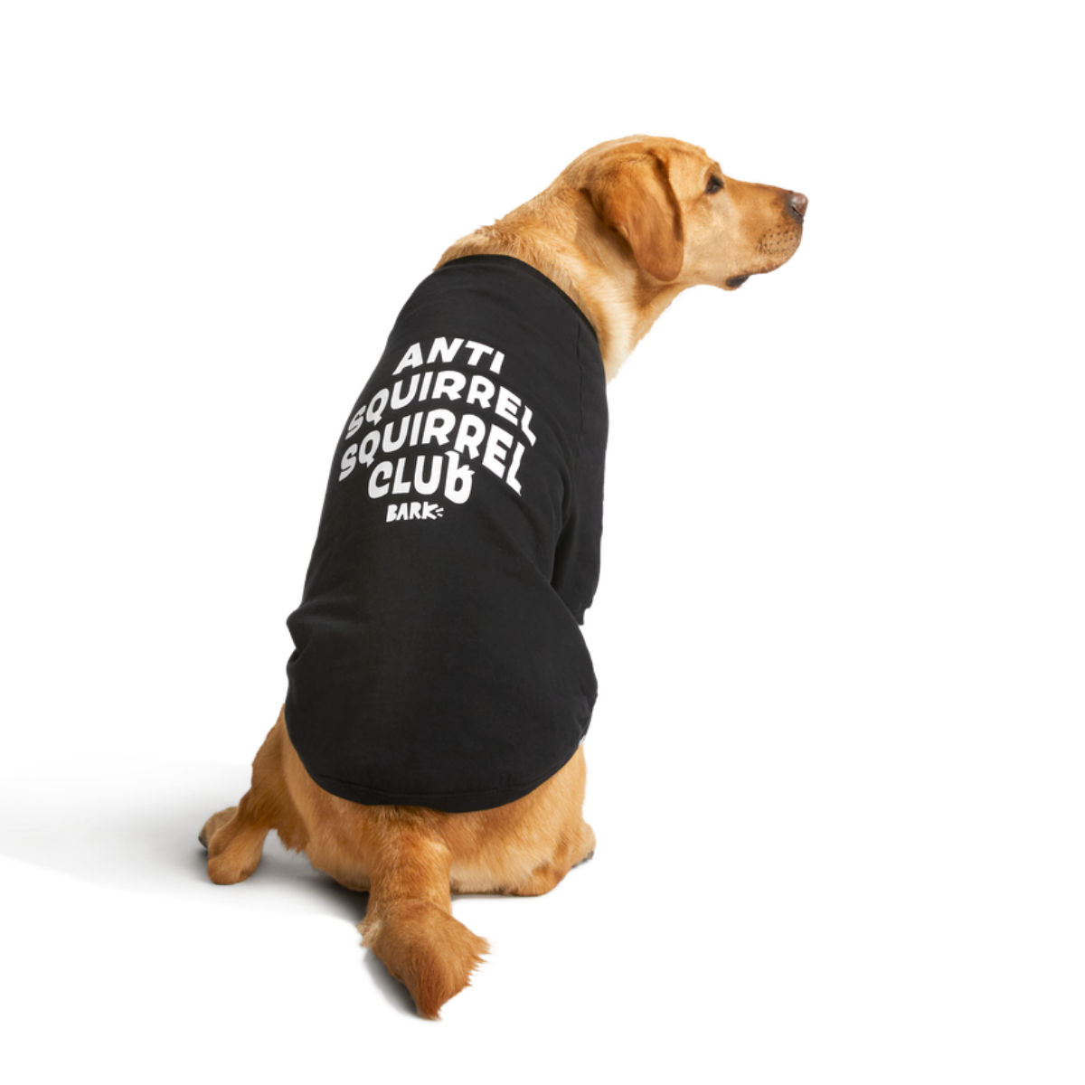 Anti-Squirrel Squirrel Club Dog Sweatshirt