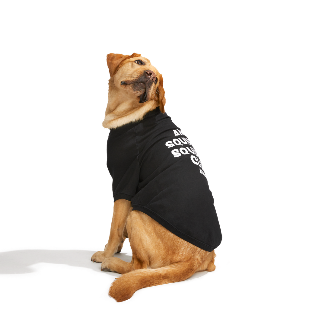 Anti-Squirrel Squirrel Club Dog Sweatshirt