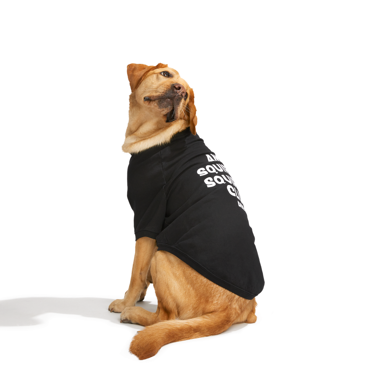 Anti-Squirrel Squirrel Club Dog Sweatshirt