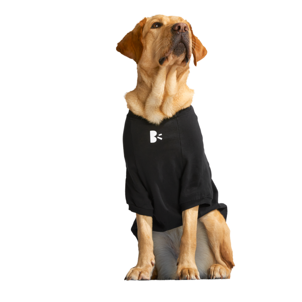 Anti-Squirrel Squirrel Club Dog Sweatshirt