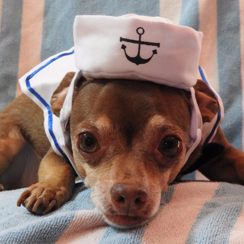 Funny Navy Sailor Pet Costume