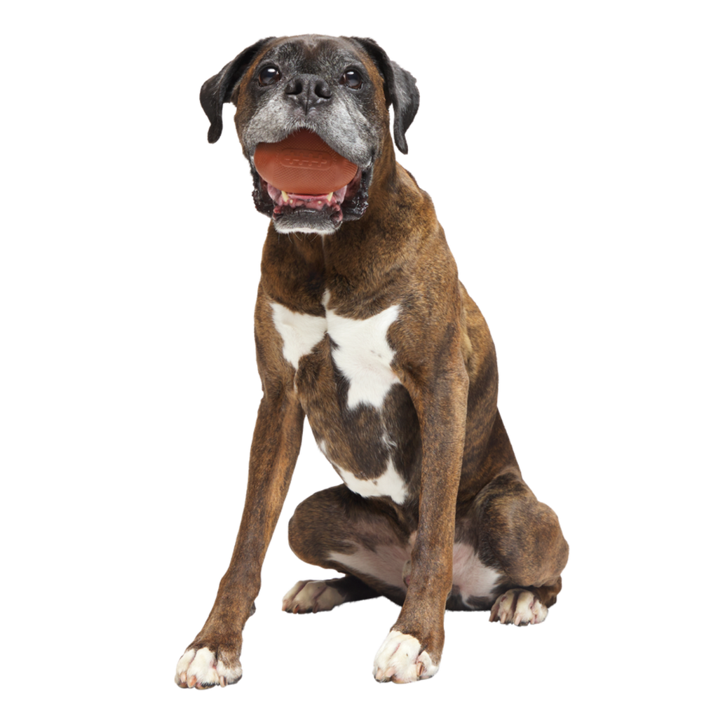 Chompionship Football Durable Super Chewer Fetch Dog Toy