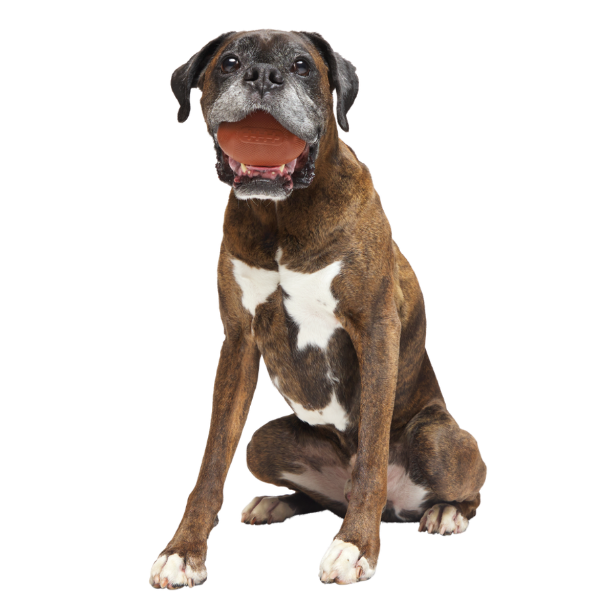 Chompionship Football Durable Super Chewer Fetch Dog Toy