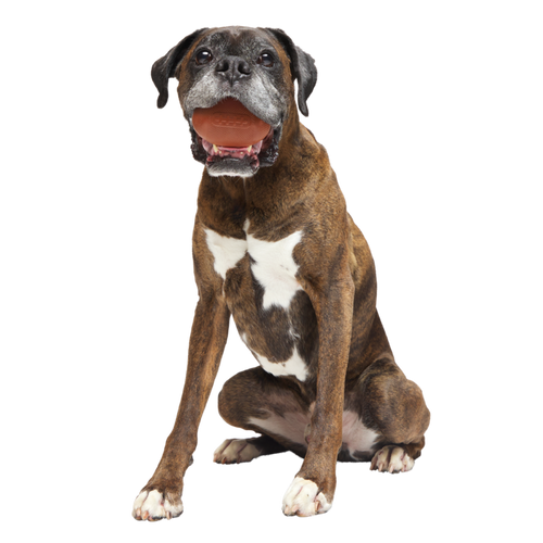 Chompionship Football Durable Super Chewer Fetch Dog Toy