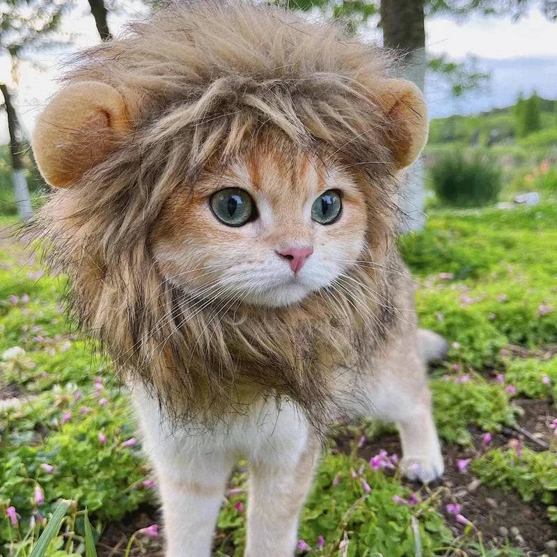 Pet Cosplay Hat | Lion Mane Wig