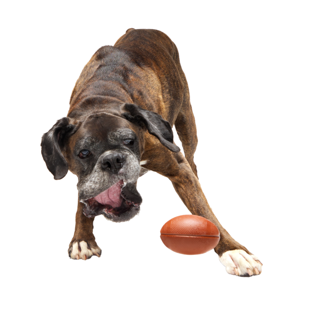 Chompionship Football Durable Super Chewer Fetch Dog Toy