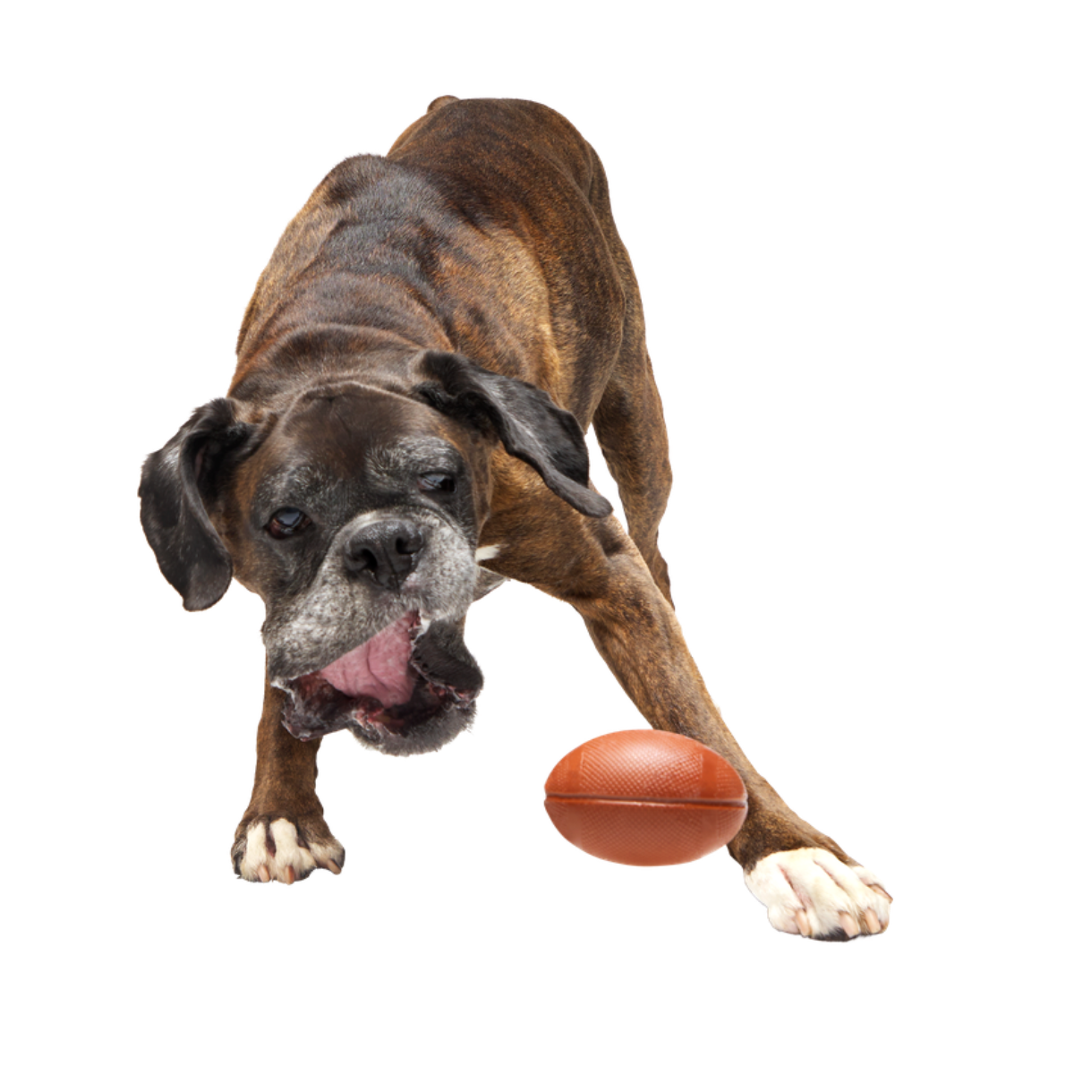 Chompionship Football Durable Super Chewer Fetch Dog Toy