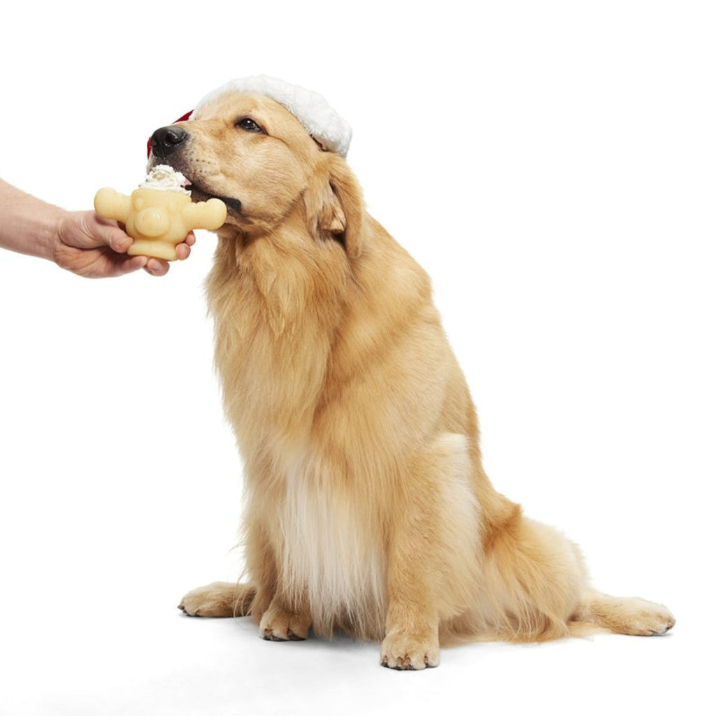 Mighty Marty Moose Mug Super Chewer Durable Gnaw + Enrichment Dog Toy