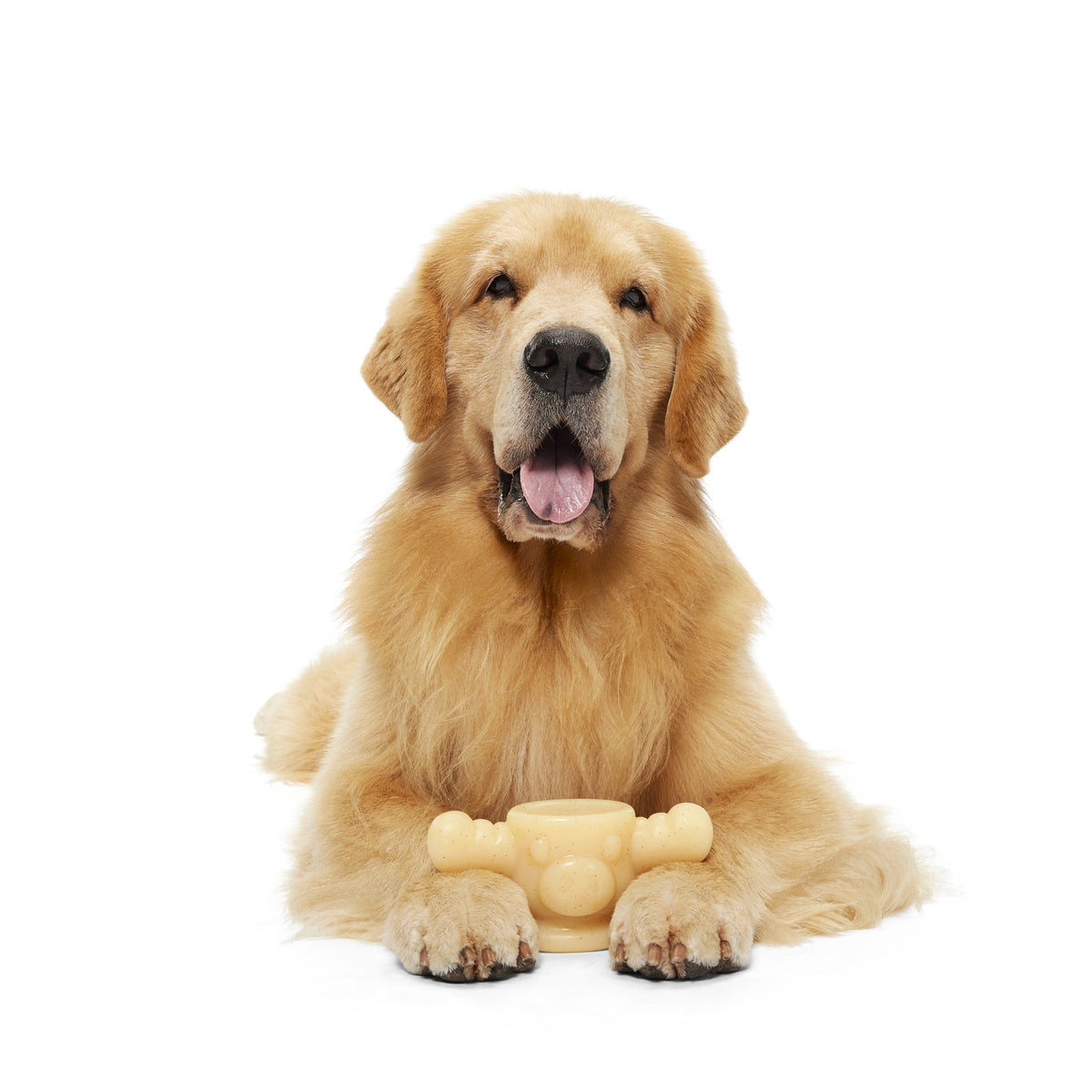 Mighty Marty Moose Mug Super Chewer Durable Gnaw + Enrichment Dog Toy