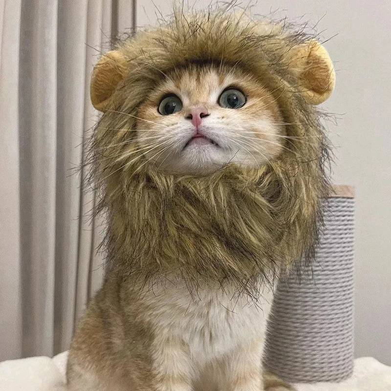 Pet Cosplay Hat | Lion Mane Wig